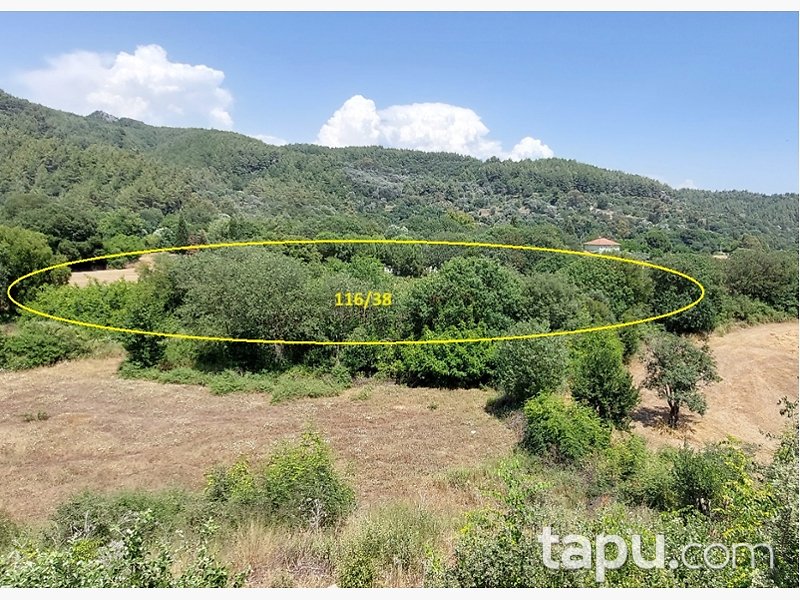 Muğla Ula Portakallık Mahallesi'nde Hisseli 644 m2 Tarla