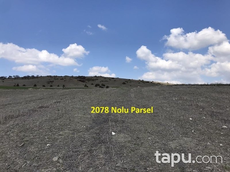 Eskişehir İnönü Tutluca'da 19 Dönüm Tarla