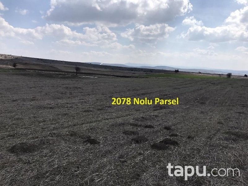 Eskişehir İnönü Tutluca'da 19 Dönüm Tarla