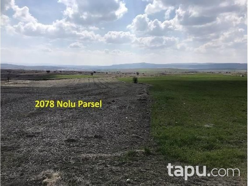 Eskişehir İnönü Tutluca'da 19 Dönüm Tarla