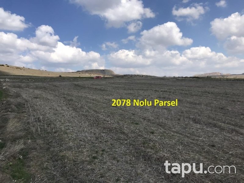 Eskişehir İnönü Tutluca'da 19 Dönüm Tarla