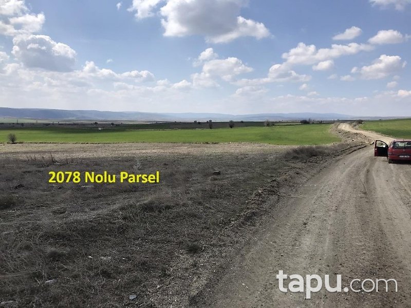 Eskişehir İnönü Tutluca'da 19 Dönüm Tarla