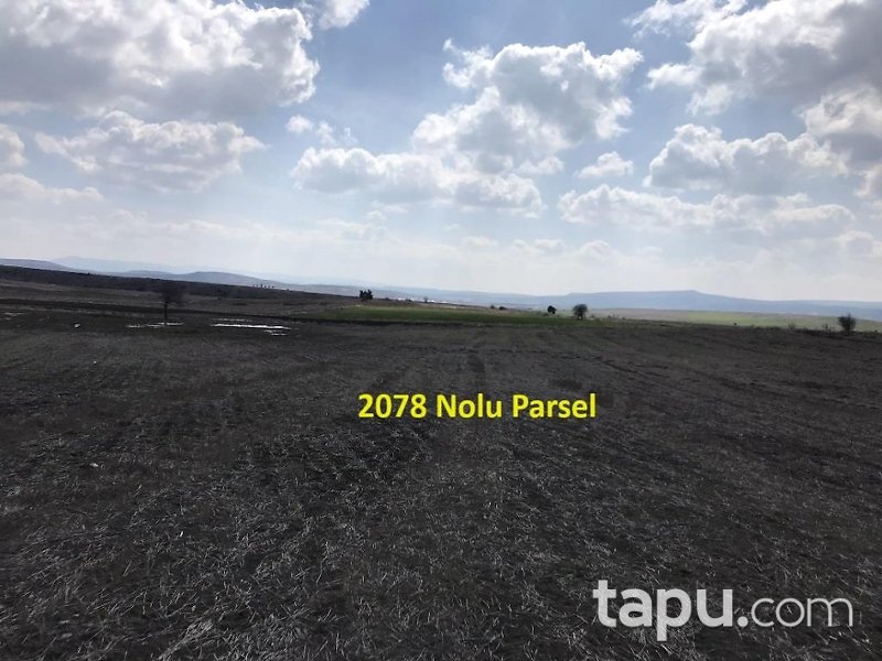 Eskişehir İnönü Tutluca'da 19 Dönüm Tarla