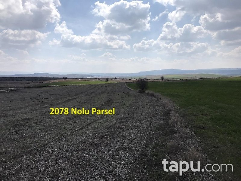 Eskişehir İnönü Tutluca'da 19 Dönüm Tarla
