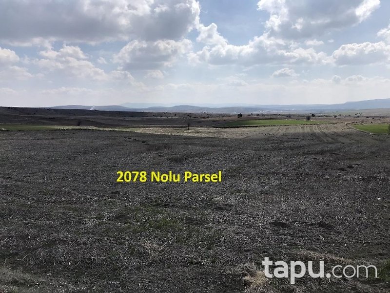 Eskişehir İnönü Tutluca'da 19 Dönüm Tarla