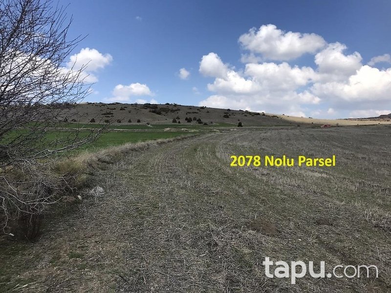 Eskişehir İnönü Tutluca'da 19 Dönüm Tarla