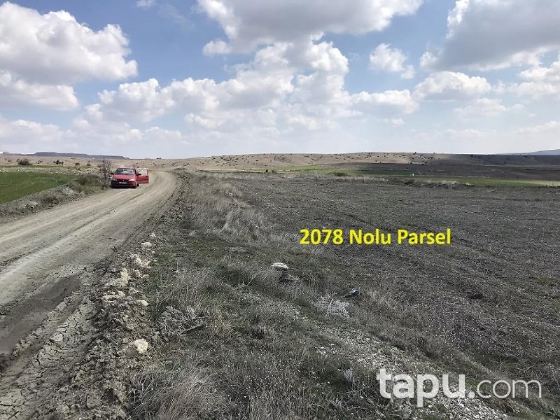 Eskişehir İnönü Tutluca'da 19 Dönüm Tarla