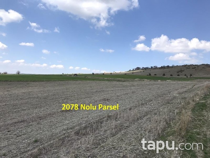 Eskişehir İnönü Tutluca'da 19 Dönüm Tarla
