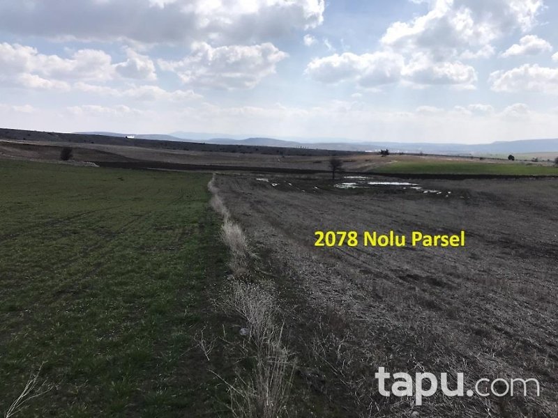 Eskişehir İnönü Tutluca'da 19 Dönüm Tarla