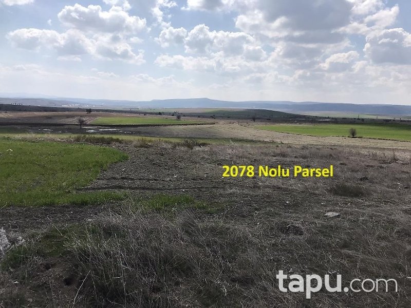 Eskişehir İnönü Tutluca'da 19 Dönüm Tarla