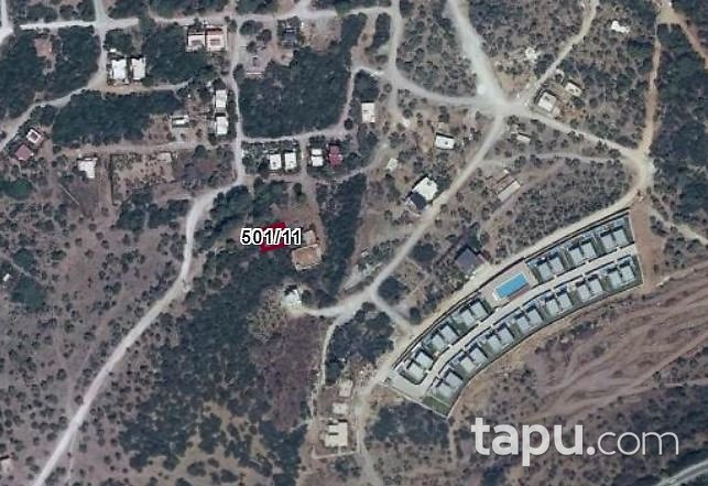 Milas Kıyıkışlacık'ta 244 m2 Zeytinlik