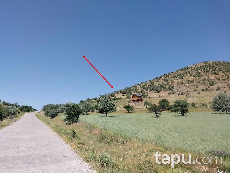 Afyonkarahisar Merkez Kocatepe Mahallesi'nde 11 Dönüm Tarla