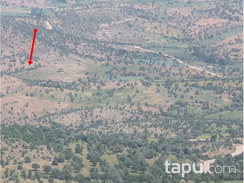 Afyonkarahisar Merkez Kocatepe Mahallesi'nde 11 Dönüm Tarla