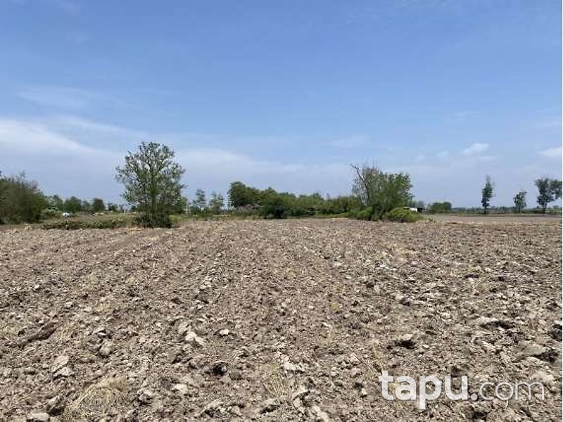 Balıkesir Manyas Salur Mahallesi'nde 1.275 m2 Arazi