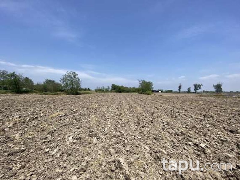 Balıkesir Manyas Salur Mahallesi'nde 1.275 m2 Arazi