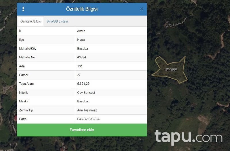 Artvin Hopa Başoba Köyü'nde 5.691 m2 Çay Bahçesi