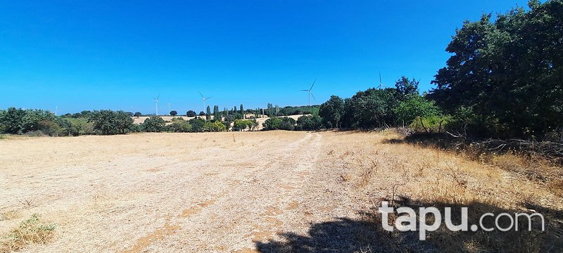 Çanakkale Merkez Salihler'de 2 Dönüm Tarla (AS-03170)