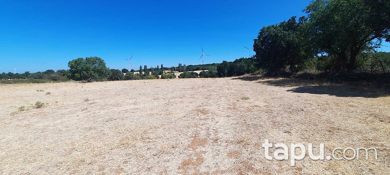 Çanakkale Merkez Salihler'de 2 Dönüm Tarla (AS-03170)