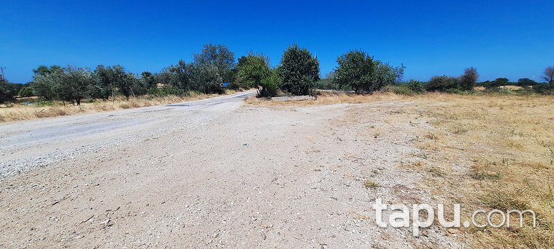 Çanakkale Merkez Salihler'de 2 Dönüm Tarla (AS-03170)