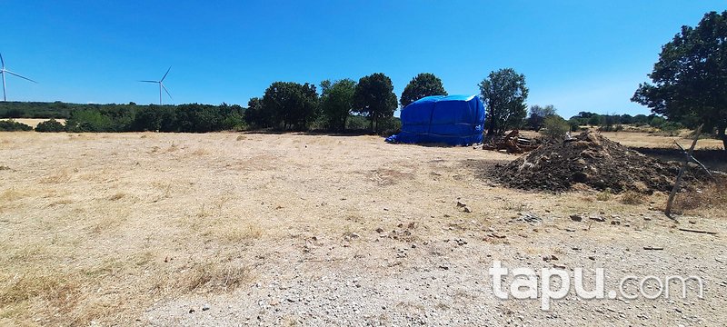 Çanakkale Merkez Salihler'de 2 Dönüm Tarla (AS-03170)
