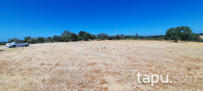 Çanakkale Merkez Salihler'de 2 Dönüm Tarla (AS-03170)