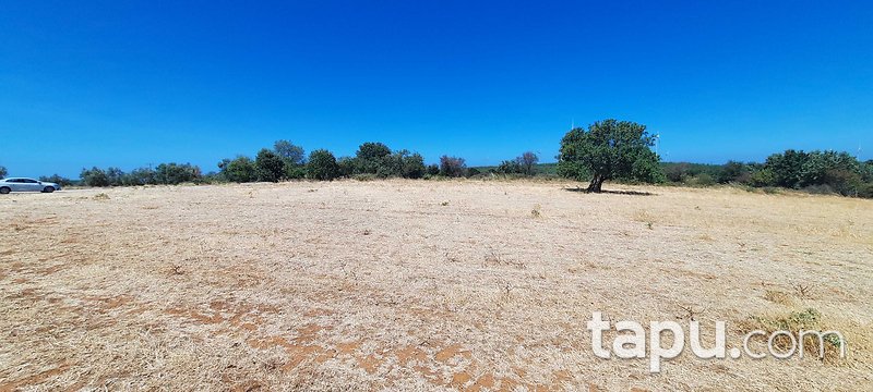Çanakkale Merkez Salihler'de 2 Dönüm Tarla (AS-03170)