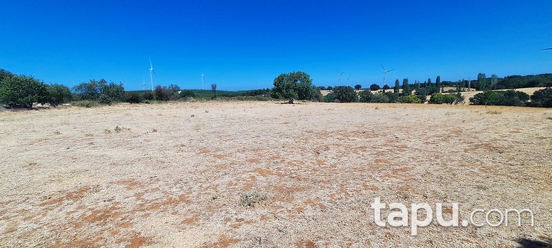 Çanakkale Merkez Salihler'de 2 Dönüm Tarla (AS-03170)