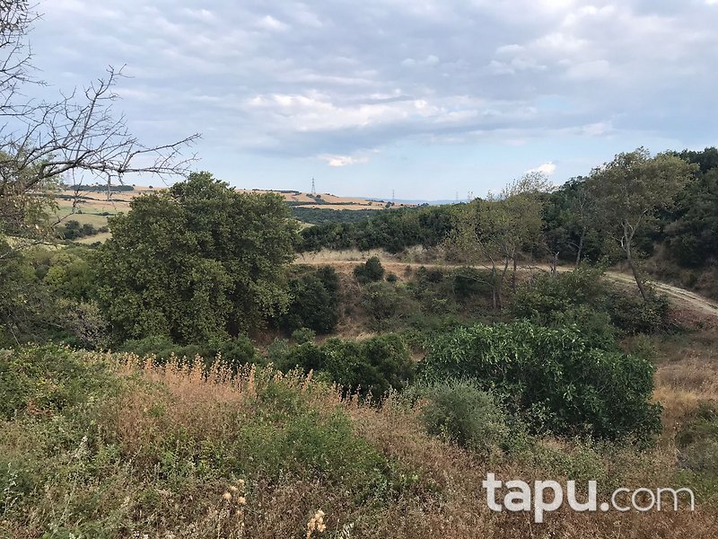 Çanakkale Gelibolu Fındıklı Mevkiinde 7 Dönüm Tarla