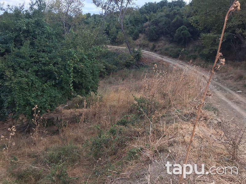Çanakkale Gelibolu Fındıklı Mevkiinde 7 Dönüm Tarla