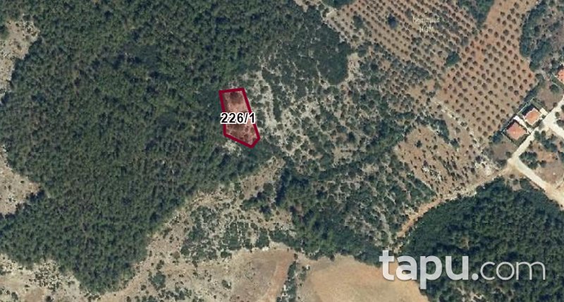 Muğla Menteşe Gülağzı'nda 1.448 m2 Tarla