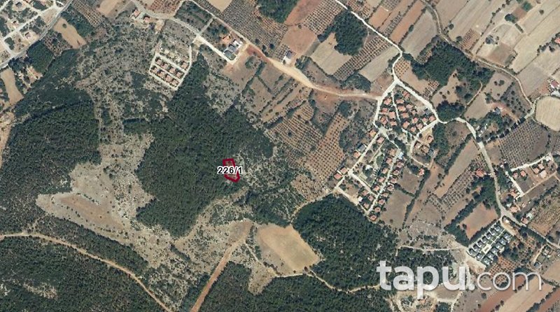 Muğla Menteşe Gülağzı'nda 1.448 m2 Tarla