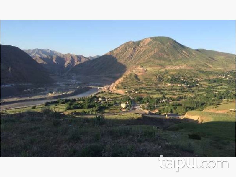 Elazığ Palu'da Tek Katlı Ev ve Arsası
