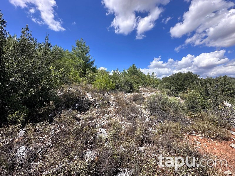 Muğla Menteşe Gülağzı'nda 1.448 m2 Tarla