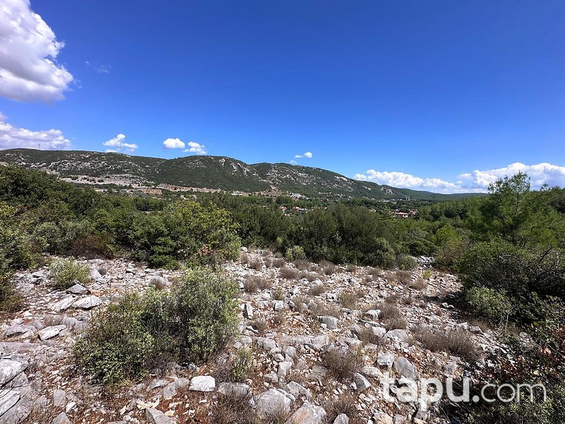 Muğla Menteşe Gülağzı'nda 1.448 m2 Tarla
