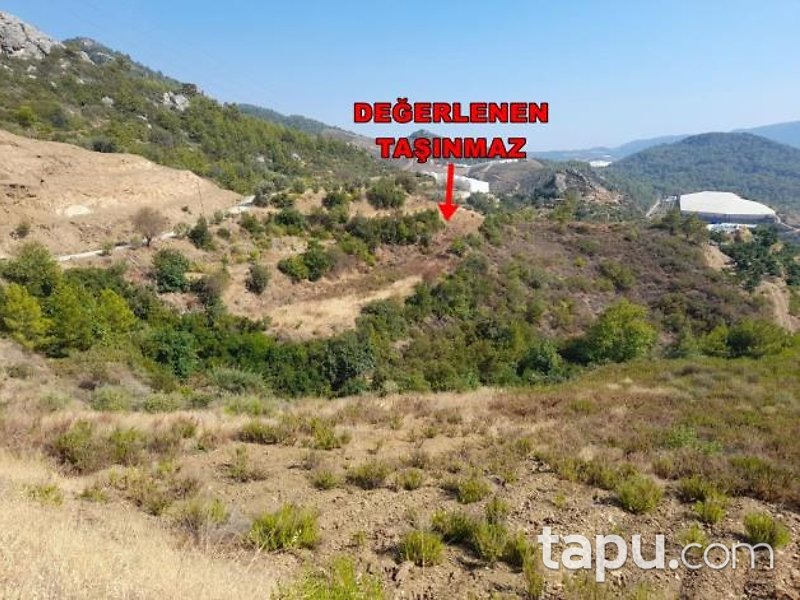 Alanya Hocalar'da Hisseli 7 Dönüm Tarla