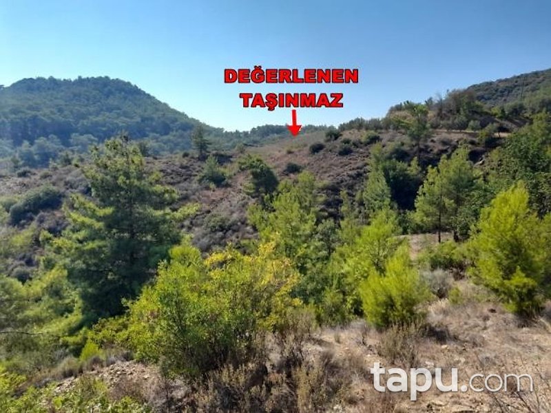 Alanya Hocalar'da Hisseli 7 Dönüm Tarla