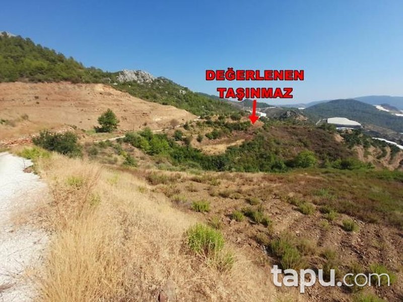 Alanya Hocalar'da Hisseli 7 Dönüm Tarla