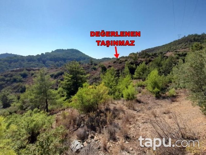 Alanya Hocalar'da Hisseli 7 Dönüm Tarla