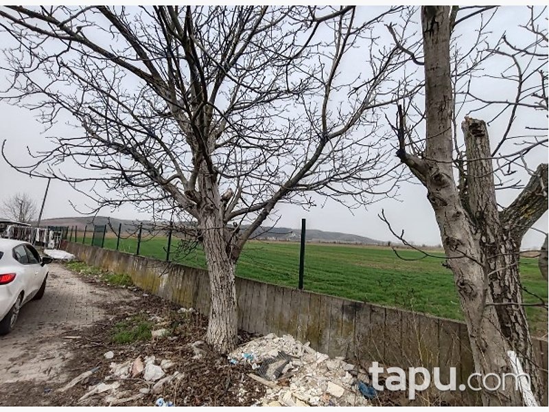 Adapazarı Tekeler'de Hisseli 169 m2 Tarla