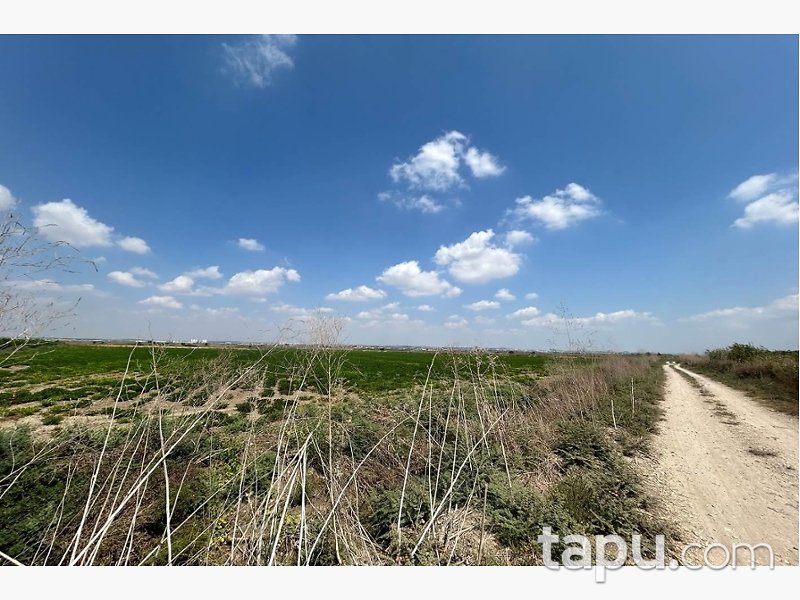 Adana Yüreğir Suluca'da Hisseli 2.585 m2 Tarla