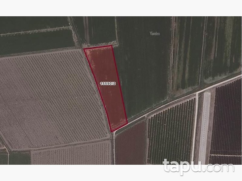 Adana Yüreğir Suluca'da Hisseli 2.585 m2 Tarla