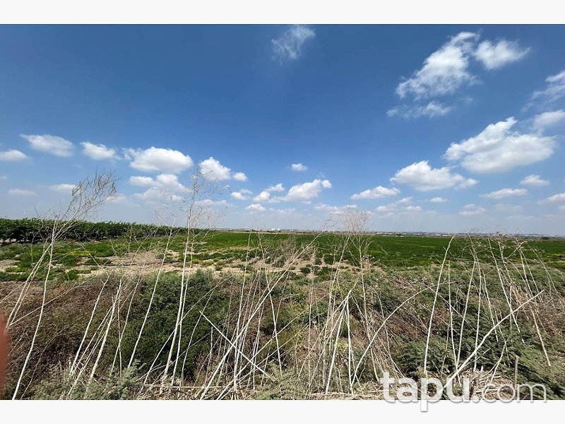 Adana Yüreğir Suluca'da Hisseli 2.585 m2 Tarla