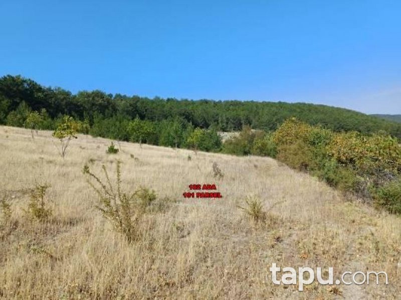 Bursa Keles Kıranışıklar Mahallesi'nde 9 Dönüm Tarla