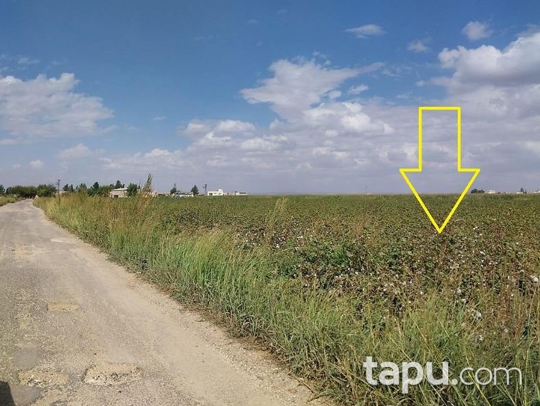 Şanlıurfa Suruç Göleç Mahallesi'nde 24 Dönüm Tarla