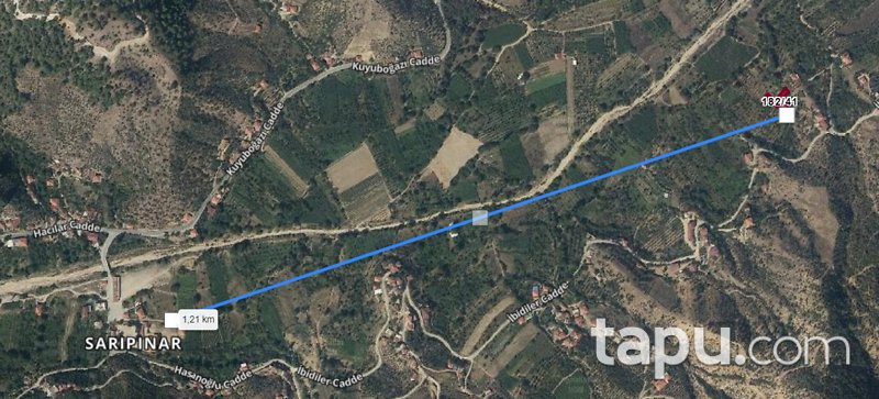Manisa Alaşehir Sarıpınar'da 716 m2 Kiraz Bahçesi
