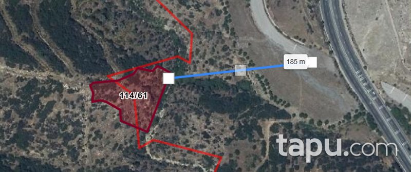 Aydın Çine Kabalar'da 4.680 m2 Zeytinlik