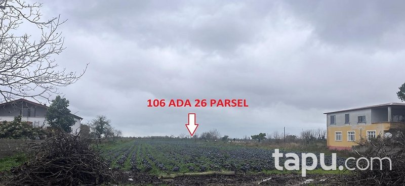 Samsun Bafra'da Hisseli 6.670 m2 Tarla