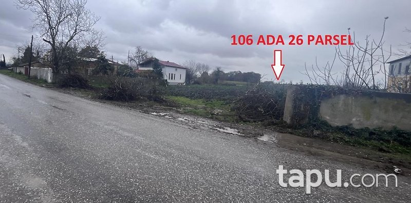 Samsun Bafra'da Hisseli 6.670 m2 Tarla
