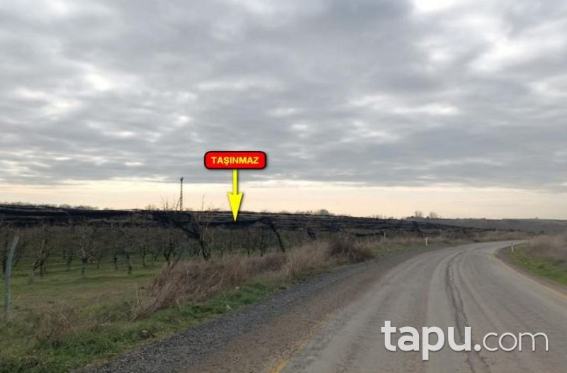 Tekirdağ Ergene Paşaköy'de 31 Dönüm Meyve Bahçesi