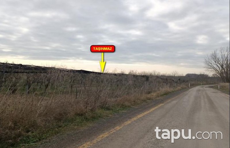 Tekirdağ Ergene Paşaköy'de 31 Dönüm Meyve Bahçesi
